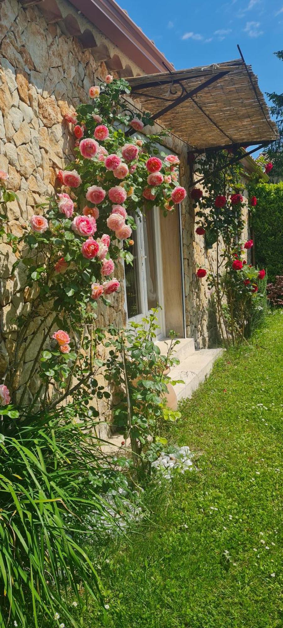 Petit Gite De Provence Mazan Exteriér fotografie